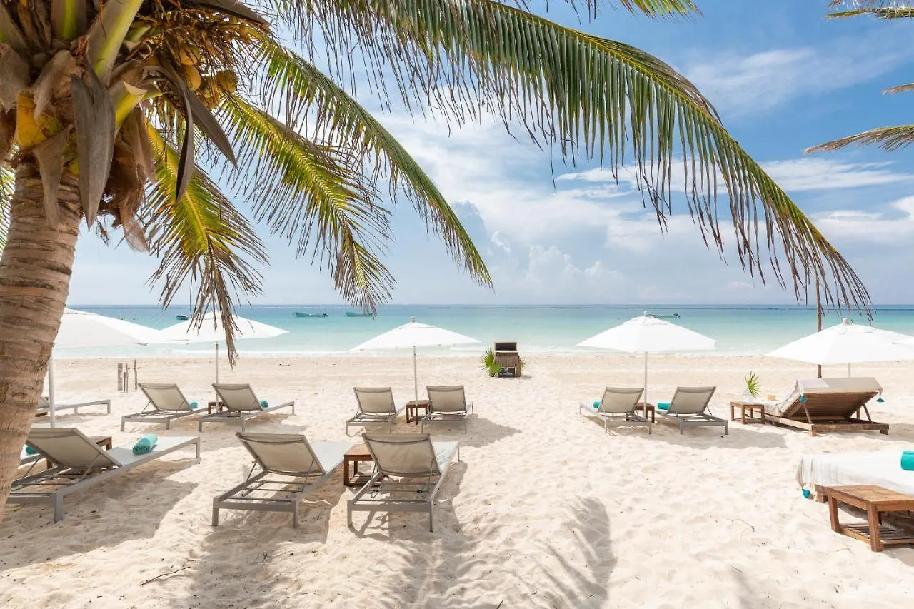 Tente de luxe Hôtel Cinco Tulum Mexique