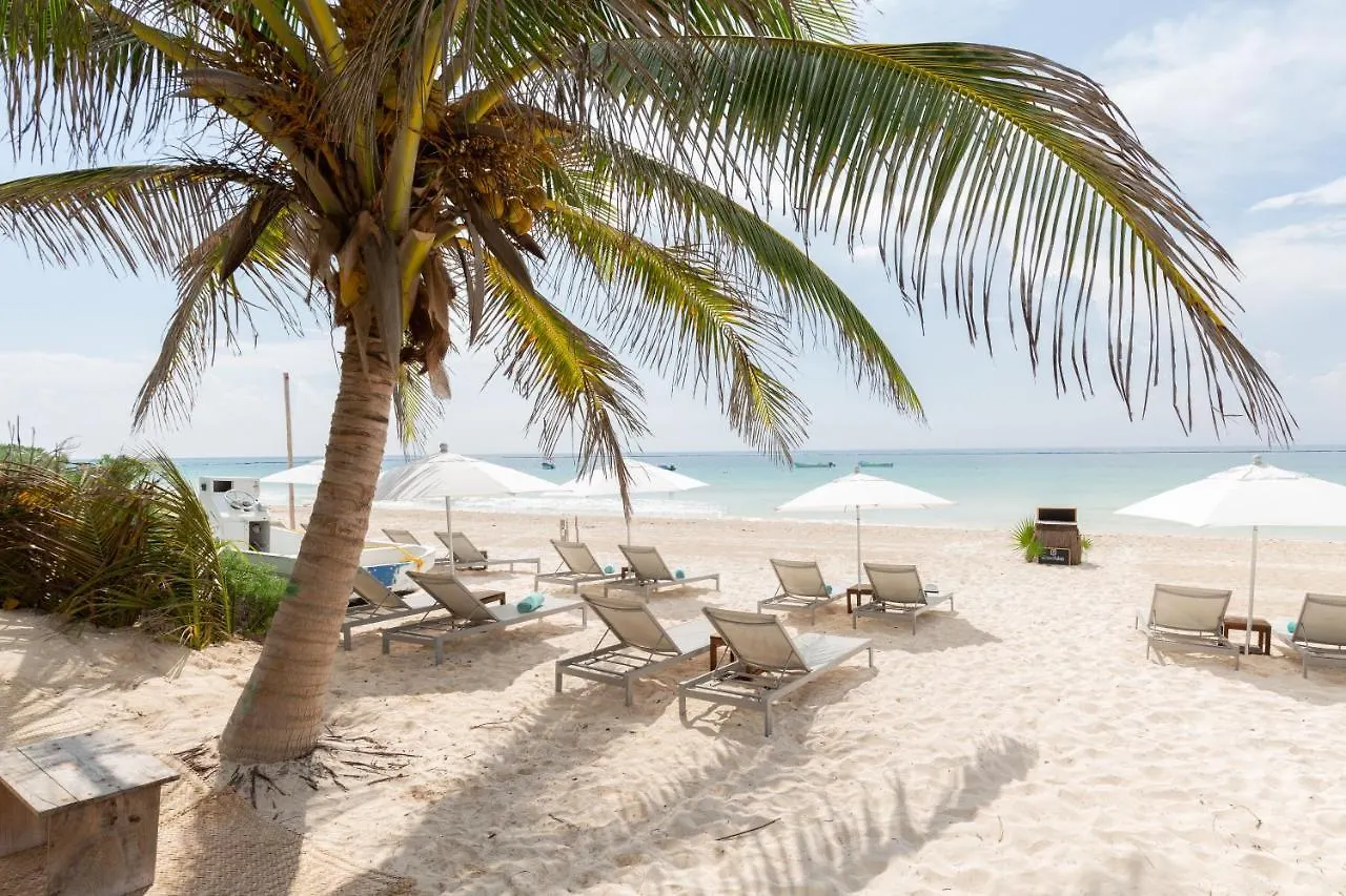 Hôtel Cinco Tulum